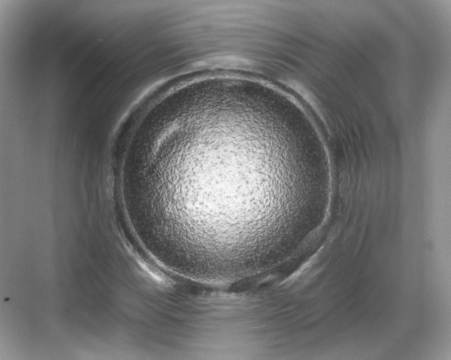 X0000068721115200605051426