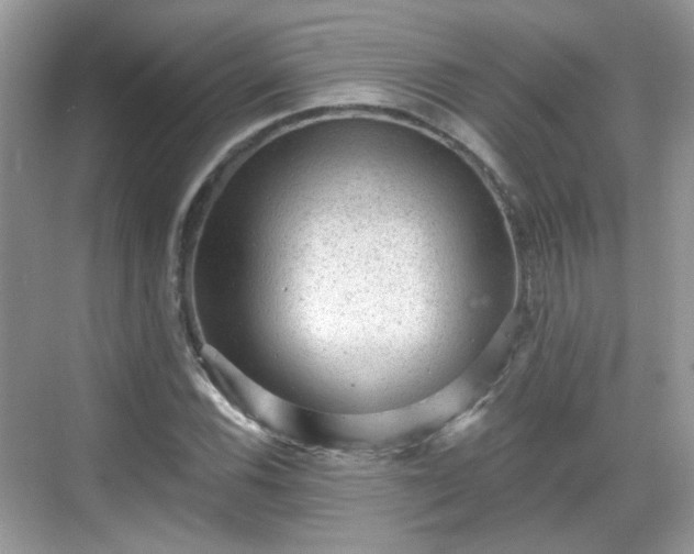 X0000068721116200605051426