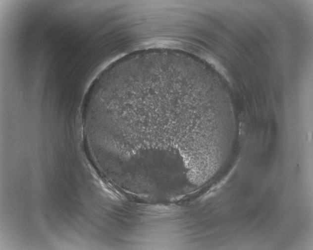 X0000068721117200605051426