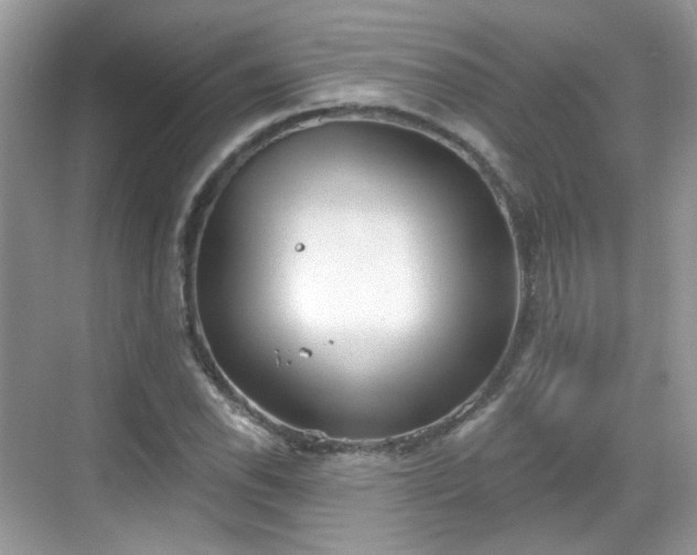 X0000068721118200605051426