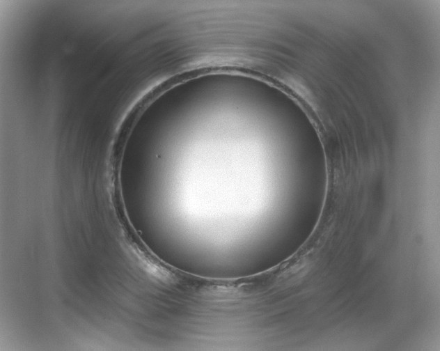 X0000068721119200605051426