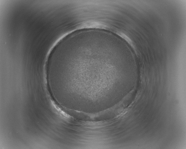 X0000068721120200605051426