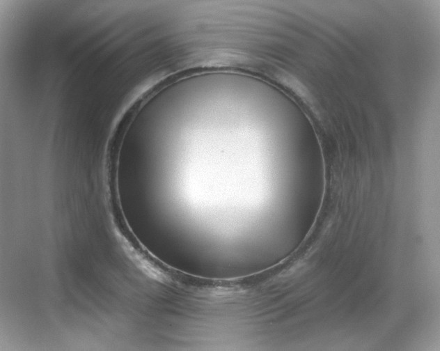 X0000068721122200605051426