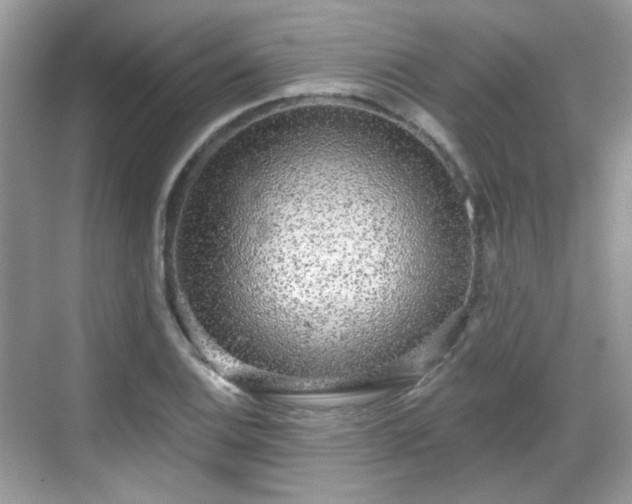 X0000068721124200605051426