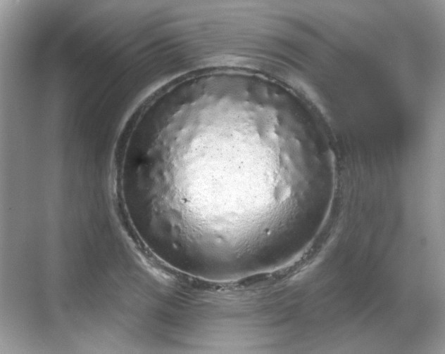 X0000068721125200605051426