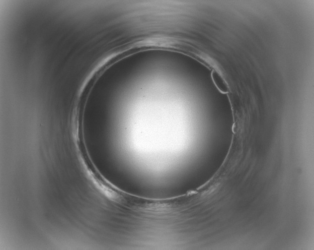 X0000068721131200605051426