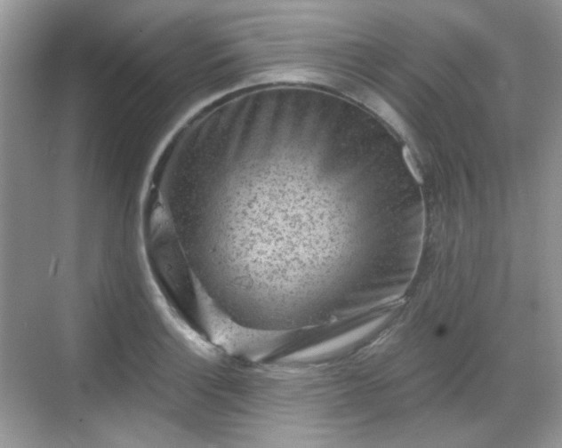 X0000068721132200605051426