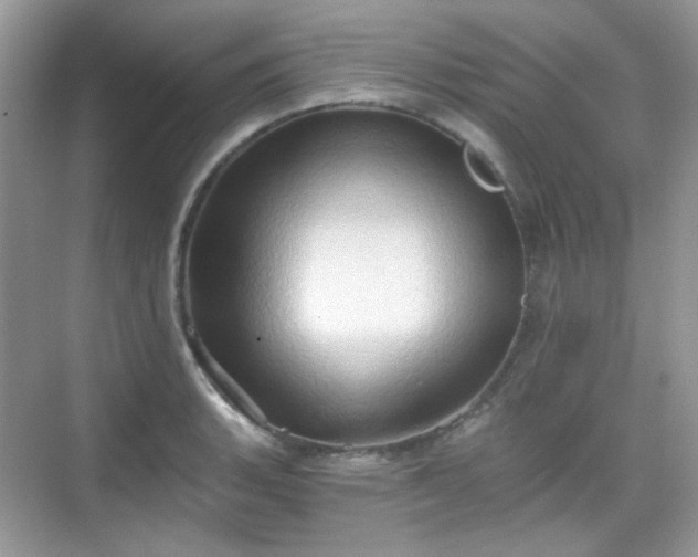 X0000068721135200605051426