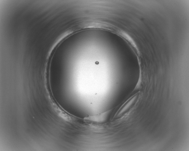 X0000068721138200605051426