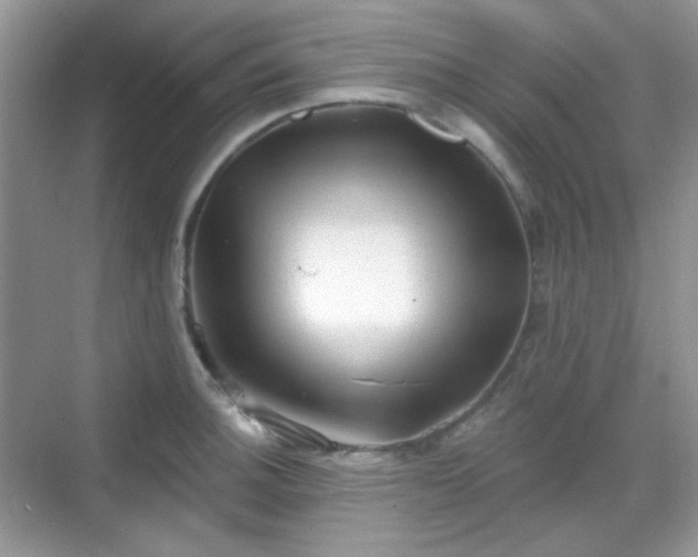 X0000068721140200605051426