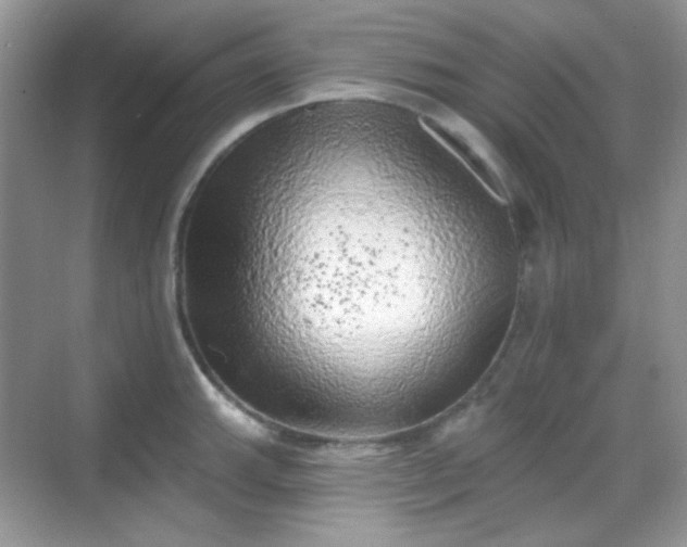 X0000068721143200605051426