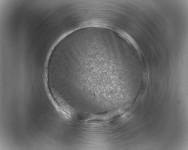 X0000068721144200605051426