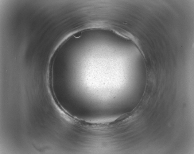 X0000068721147200605051426