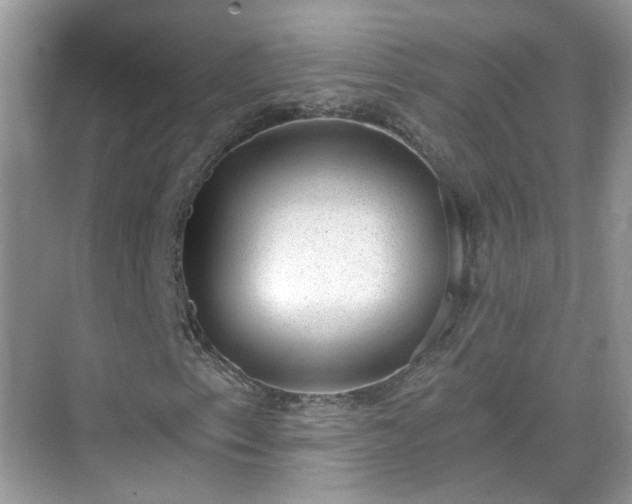 X0000068721153200605051426