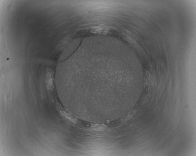 X0000068721154200605051426