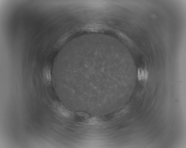 X0000068721155200605051426