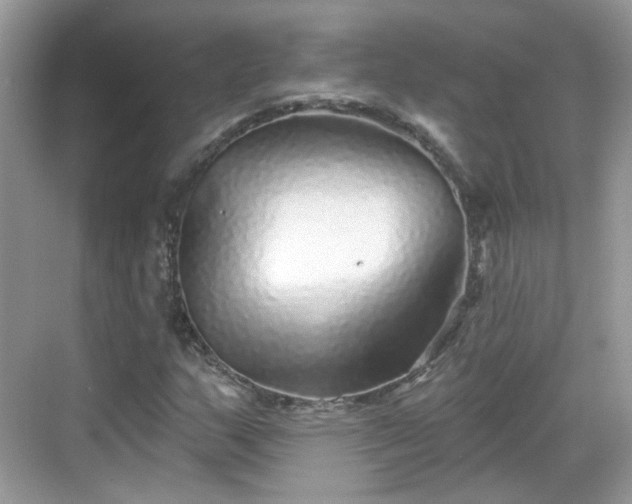 X0000068721159200605051425