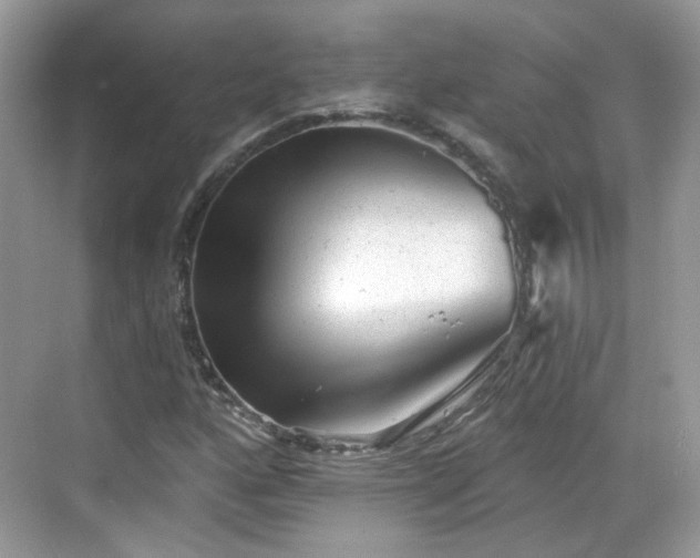 X0000068721160200605051425