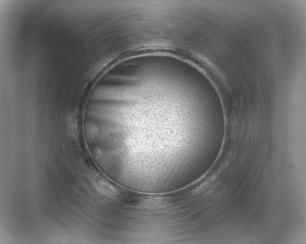 X0000068721162200605051425