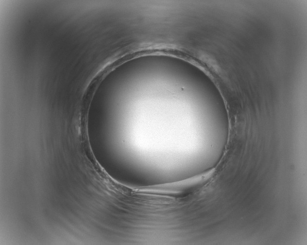 X0000068721165200605051425