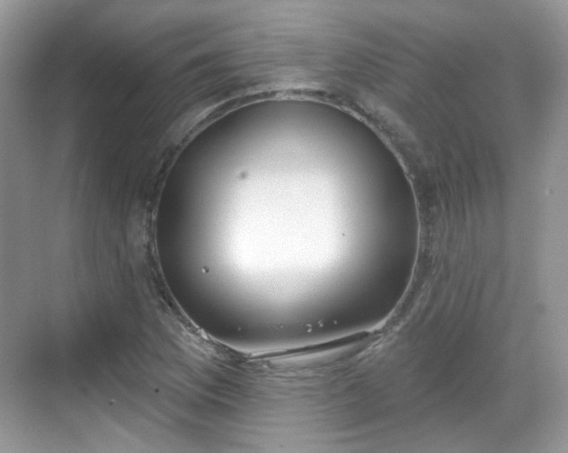 X0000068721169200605051425