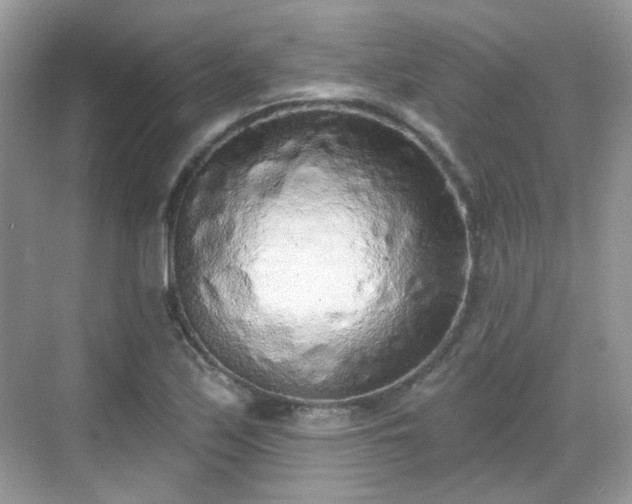 X0000068721171200605051425