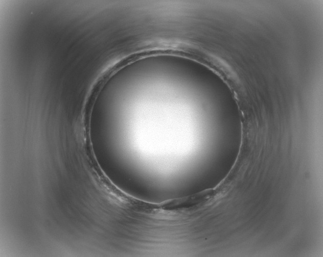 X0000068721172200605051425