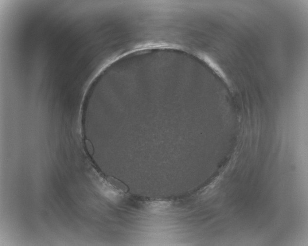 X0000068721173200605051425