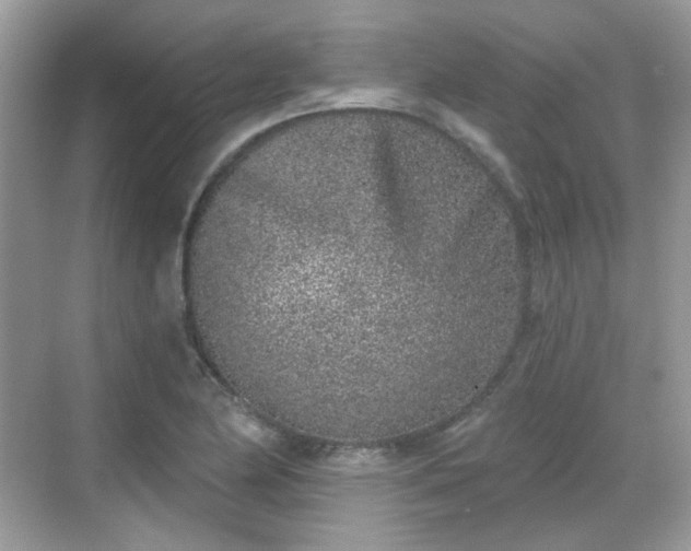 X0000068721174200605051425