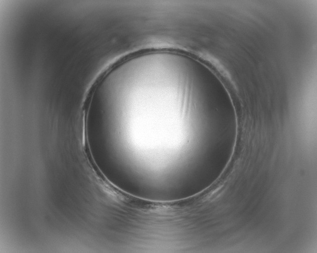 X0000068721175200605051425