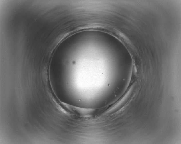 X0000068721177200605051425