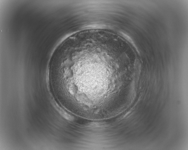 X0000068721179200605051425