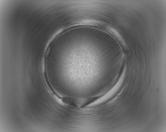 X0000068721180200605051425