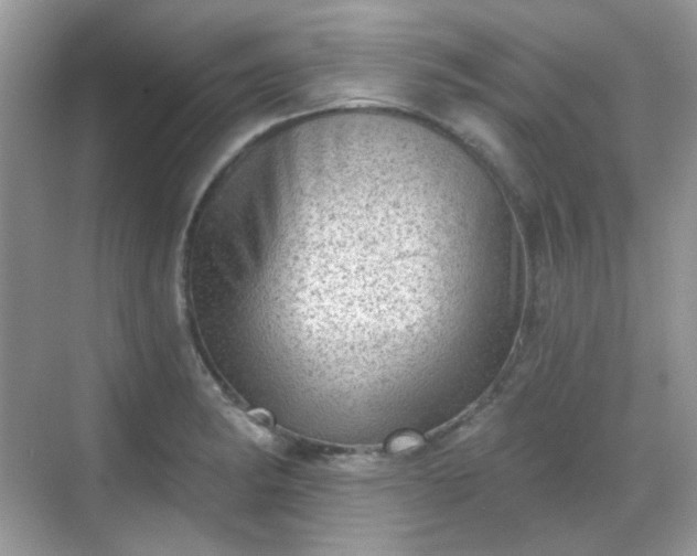 X0000068721182200605051425