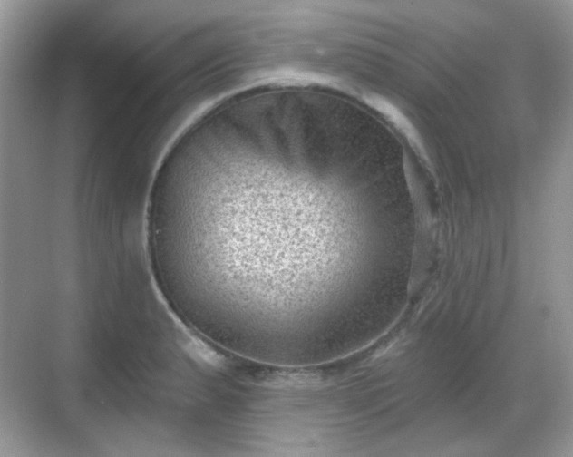 X0000068721183200605051425