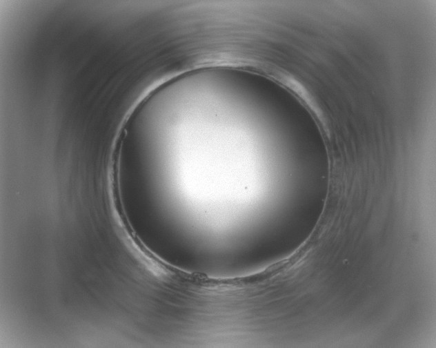 X0000068721187200605051425