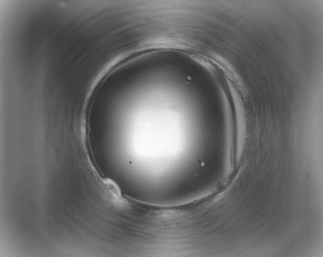 X0000068721188200605051425