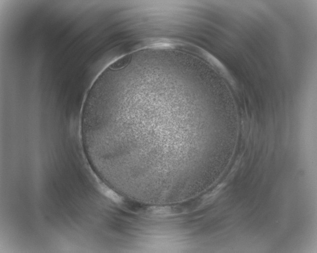 X0000068721194200605051425