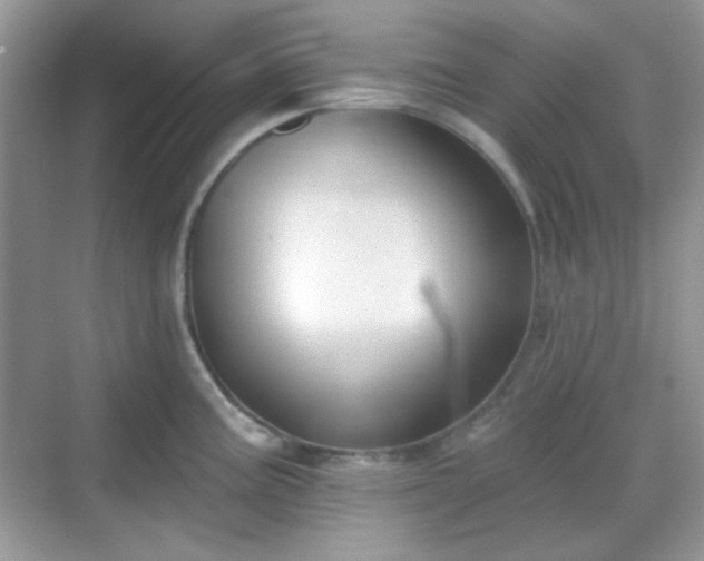 X0000068721195200605051425