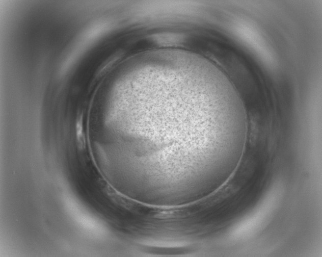 X0000068721198200605051425