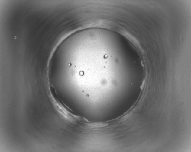 X0000068721200200605051425