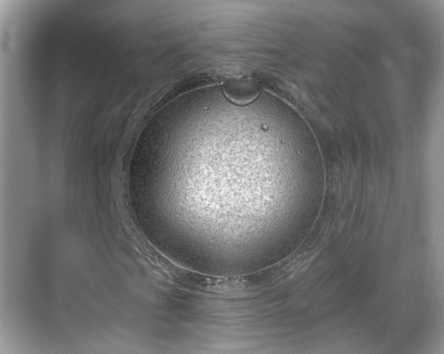 X0000068721201200605051424