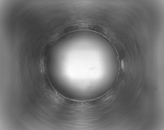 X0000068721203200605051424