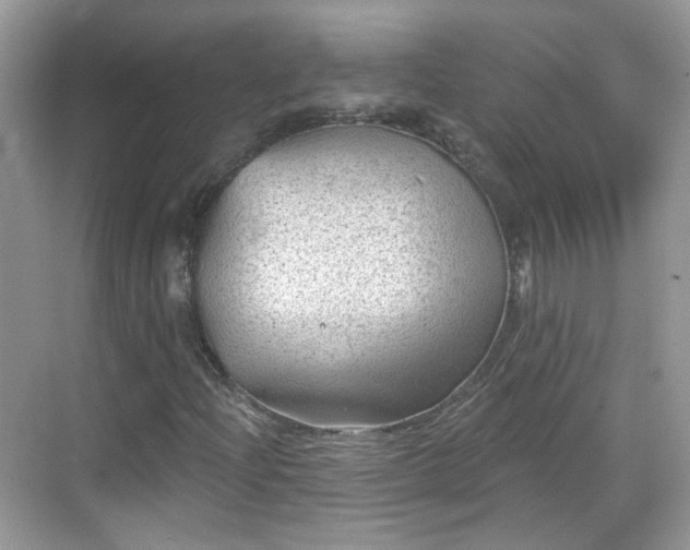 X0000068721204200605051424