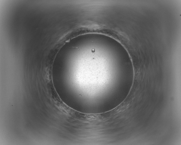 X0000068721205200605051424