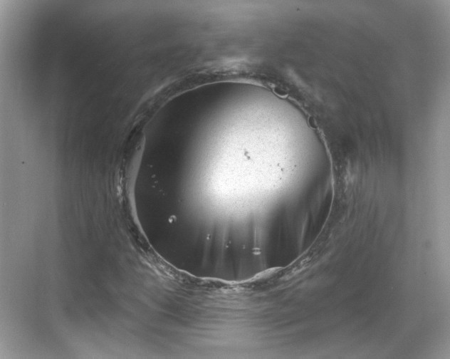 X0000068721206200605051424