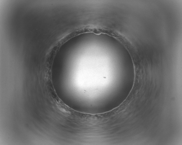 X0000068721207200605051424