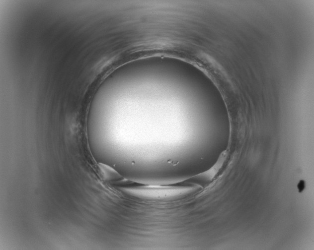 X0000068721210200605051424