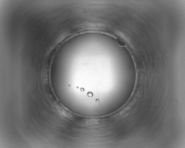 X0000068721211200605051424