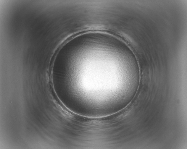 X0000068721212200605051424